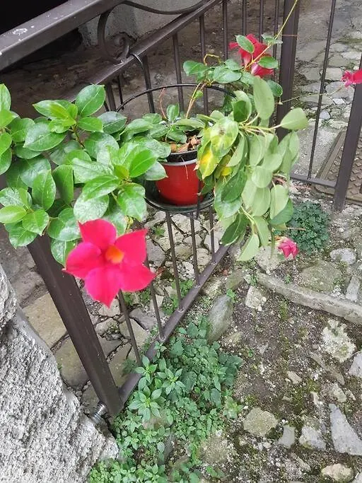 ליירנה La Corte Della Carla - Cozy Home In The Old Court
